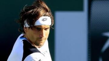 David Ferrer.