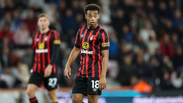 Tyler Adams continúa sufriendo con las lesiones en el Bournemouth