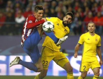 FERNANDO TORRES Y MEVLJA