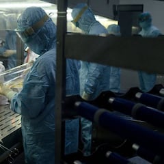 "El coronavirus era como un tigre rabioso y ahora es como un gato salvaje"