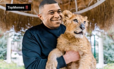 Los memes más divertidos de la jornada adelantada