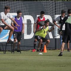 Directorio de Colo Colo discutirá opción de tener un gerente deportivo