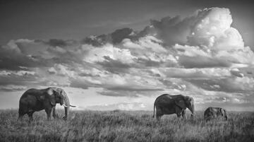 Fotografía de Raúl García Carnero.