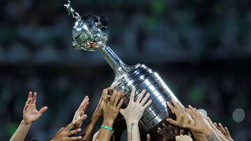 Los mejores datos en la historia verdolaga