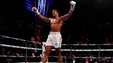 Resumen y resultados del Anthony Joshua vs Alexander Povetkin.