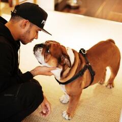 Los perros de Hamilton que han conquistado internet