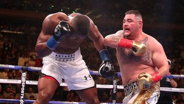 Nadie puede dudar de la potencia en pu&ntilde;os y calidad de Andy Ruiz, y es que a los 16 a&ntilde;os ya hab&iacute;a derribado al campe&oacute;n de los pesados de la UFC, Andrei Arlovski.