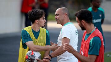 Portugal - Finlandia: Horario, TV; cómo y dónde ver el Amistoso Internacional