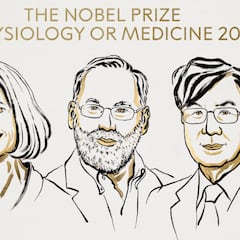 May E. Brunkow, Fred Ramsdell y Shimon Sakaguchi, premio Nobel de Medicina