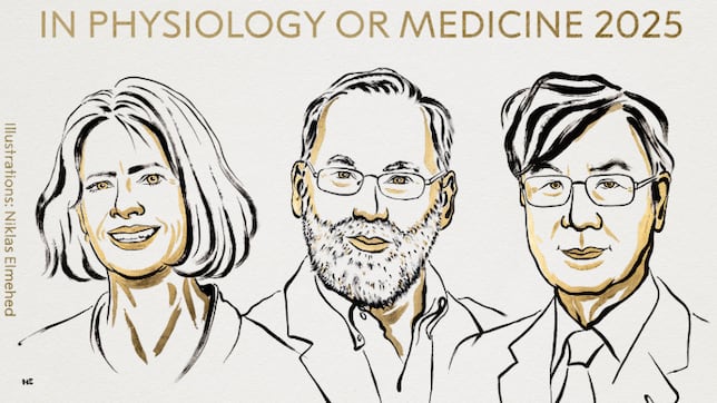 May E. Brunkow, Fred Ramsdell y Shimon Sakaguchi, premio Nobel de Medicina
