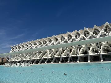 Pokémon GO Safari City Valencia crónica evento merece la pena