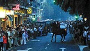 <b>REGATE POLICIAL</b>. La parte más radical de la afición valencianista se encontraba en la Avenida de Suecia esperando el autobús del Madrid con cara de pocos amigos. Pero la Policía estuvo hábil y cambió el itinerario.