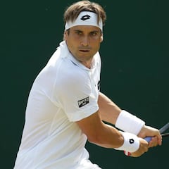 Darcis se retira y facilita el pase de Ferrer; Ramos le acompaña