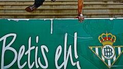 "Seguro que ya no pararemos de crecer"