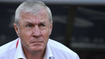 Luis Fernandez se postula para la Federaci¨®n Francesa de F¨²tbol