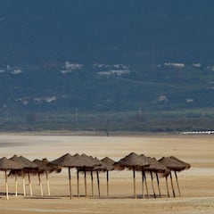 ¿Cómo podrían ser las vacaciones de verano después del coronavirus?