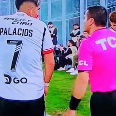 “¿Te crees vivo?”: el curioso momento que involucra a Palacios y que captó la TV