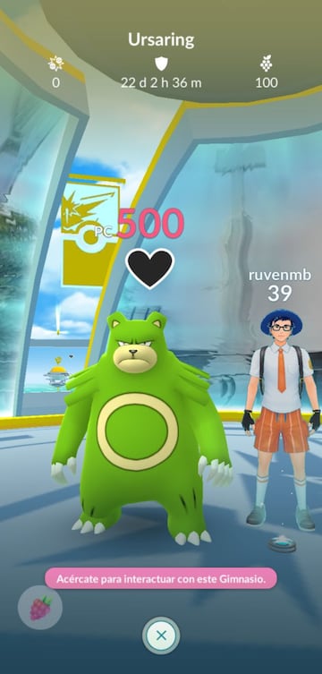 Tenemos a un Ursaring Shiny &quot;atrapado&quot; en un Gimnasio desde hace 22 d&iacute;as porque ning&uacute;n Entrenador rival lo ha derrotado