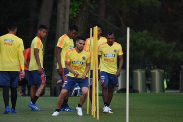 La primera práctica de la Selección en territorio italiano fue para realizar trabajos de recuperación física en campo y gimnasio. Cambiasso se unió al cuerpo técnico.