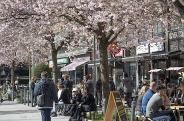 Países nórdicos: ¿cómo están tratando el coronavirus Suecia, Dinamarca?...
