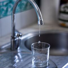 Neither Florida nor Texas: this is a map of states where most people drink fluoridated water in the US