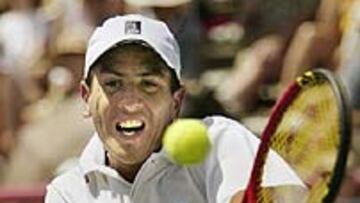 <b>GLORIA ARGENTINA. </b>Guillermo Cañas.