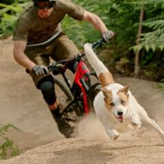 Perros y ciclismo de montaña: una entrañable historia de amor