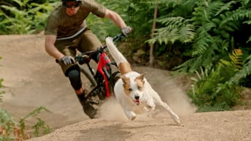 Un perro corriendo a toda velocidad y sin estar en contacto con el suelo corre delante de su amo (en MTB) por el interior de un bosque. 