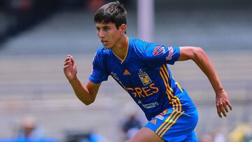 Según el periodista de Fox Sports, Rubén Rodríguez, el jugador finalizará su vínculo con Tigres y llegará a ligre a la MLS.