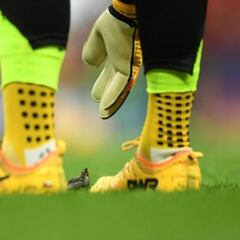 Apuestas al fichaje de David Raya: el Man. United toma el liderato en las cuotas