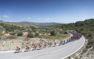 El pelotón en el transcurso de la carrera.