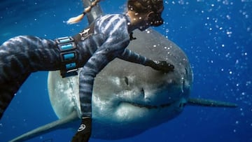 Ocean Ramsey, de la organizaci&oacute;n de protecci&oacute;n de los tiburones One Ocean Diving, nadando junto a un gran tibur&oacute;n.