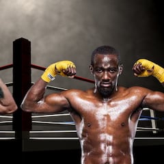 The Saudis, interested in the Canelo vs Crawford mega fight for December or January