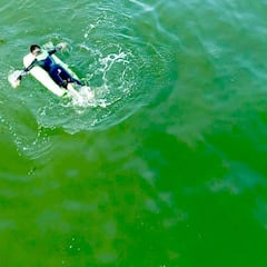 Unos niños surfean sin percatarse alarmantemente cerca de un tiburón blanco