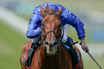 Más de uno se habrá asustado al ver un jinete sin cabeza a lomos de su caballo. Pero no, no hay motivo para
la alarma, simplemente el fotógrafo ha captado un momento en el que William Buick va agachado montando a
Castle Way instantes antes de hacerse con el triunfo en The Bahrain Trophy Stakes en Newmarket (Inglaterra).