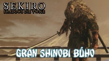 Sekiro: Shadows Die Twice, Gu&iacute;a completa - &iquest;C&oacute;mo matar al Gran shinobi B&uacute;ho?