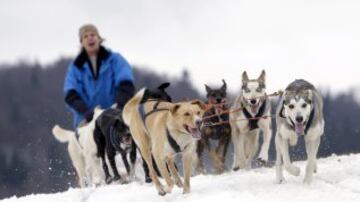 Bonitas imágenes de una de las carreras de trineos con perros más largas del continente. Cada año llegan a la aldea checa de Destne corredores de todas partes de Europa.