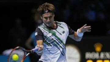 David Ferrer.