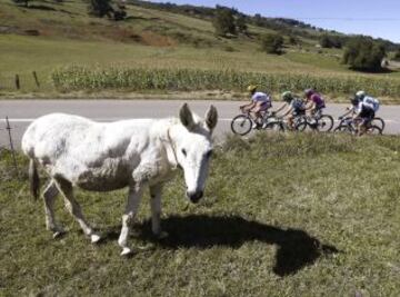 Las mejores imágenes de la Vuelta