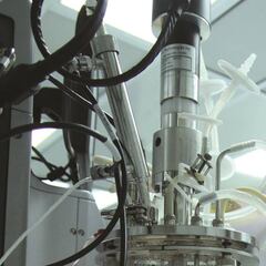 Investigadores del IPN crean prueba para detectar el COVID-19 en 15 minutos