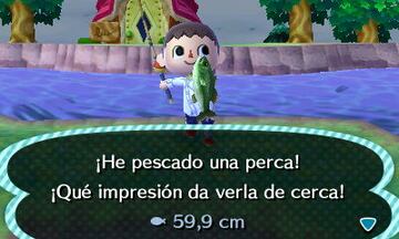 Captura de pantalla - Animal Crossing: New Leaf (3DS)