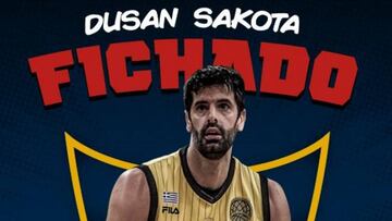 El serbio Dusan Sakota ficha por el UCAM Murcia