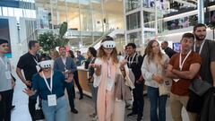 Si sabes cómo es un ecosistema, entiendes de economía