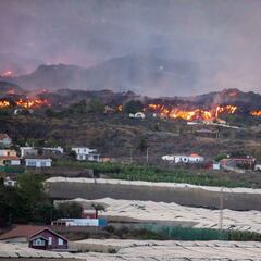 La RFEF subastará camisetas de la Selección firmadas para apoyar a los afectados por el volcán