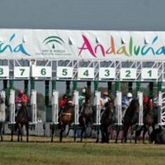 El GP de Andalucía clausura la temporada de Dos Hermanas