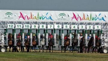 Salida en el hipódromo de Dos Hermanas.