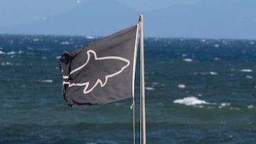 The shark-warning flag at Muizenberg beach, a popular swimming and surfing venue, which is part of False Bay in Cape Town on November 17, 2020. - The black flag means that visibility is poor and so sharks might not be visible. 
 The most significant threa