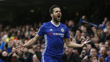 Tras muchos años en el Arsenal, siendo capitán, el español regresó a su casa, Barcelona. Tras tres temporadas en la ciudad condal, Fábregas decidió volver a la Premier League...en las filas del Chelsea, en el año 2014. Acumula seis títulos en Inglaterra, pero con el Chelsea tres: dos Premier League y una copa de la liga. En 133 encuentros de azul, acumula 46 asistencias (su especialidad en Inglaterra) y 18 goles.