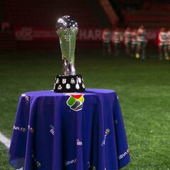 Liga MX dio por concluidos los Torneos de Fuerzas Básicas