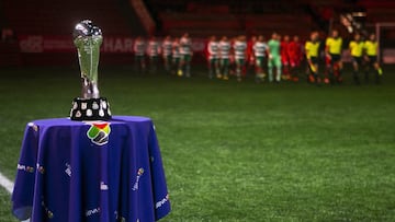 Liga MX dio por concluidos los Torneos de Fuerzas Básicas